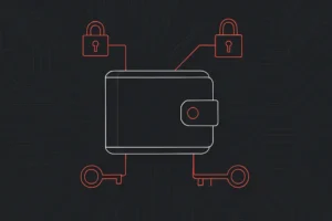 Kripto Cüzdan Rehberi